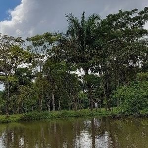 Meet your Posher, Liceth